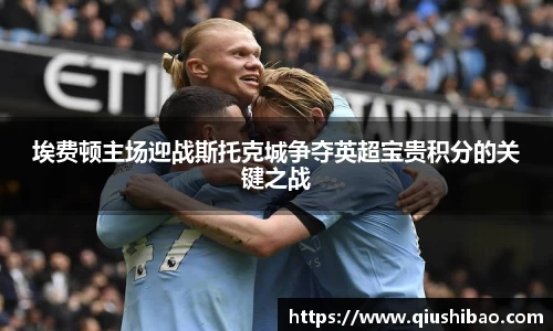 埃费顿主场迎战斯托克城争夺英超宝贵积分的关键之战